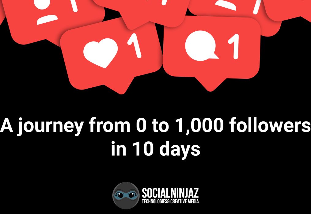 A journey from 0 to 1000 Instagram followers in 10 days – other